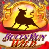 Bulls Run Wild icon